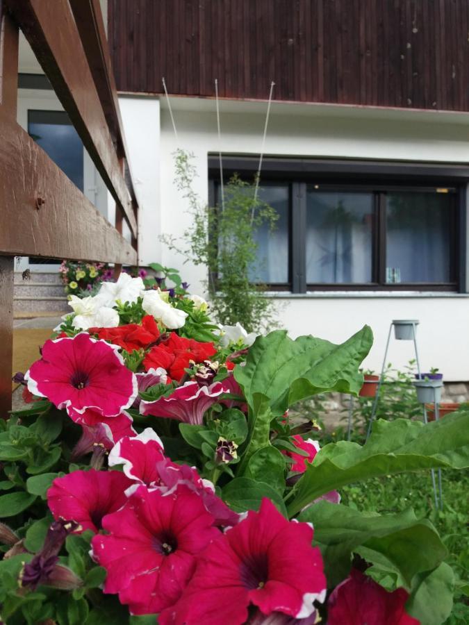 Privat Tatry Dreams Hotel Nová Lesná Екстериор снимка
